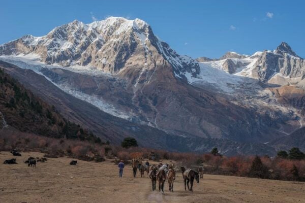 Manaslu Circuit Trek - 14 Days - Tips for a Successful Trek