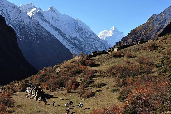Manaslu Circuit Trek - Trip Details