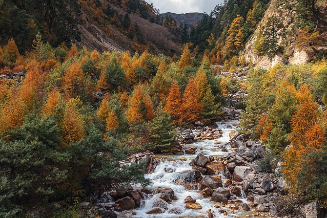 Manaslu Circuit Trek - 15 Days - Itinerary Highlights