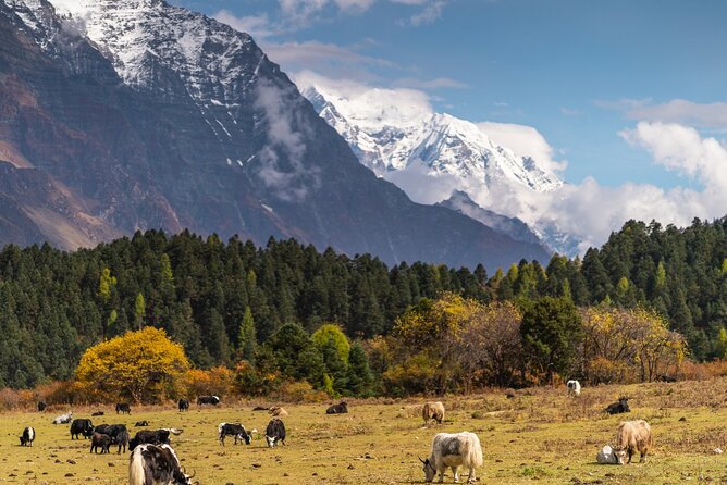 Manaslu Circuit Trek 16 Days - Pickup Points in Kathmandu