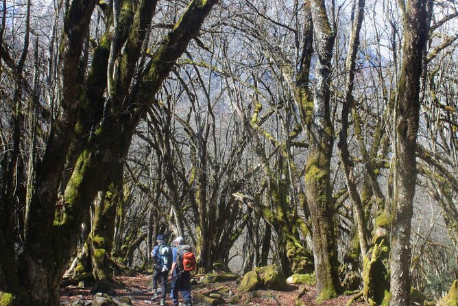 Manaslu Circuit Trek 16 Days - Common Questions