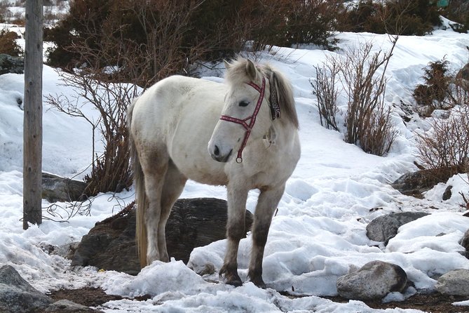 Manaslu Circuit Trek 17 Nights 18 Days - Common Questions
