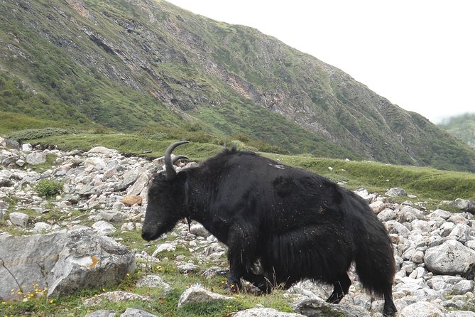 Manaslu Circuit Trek - Fitness and Training Tips