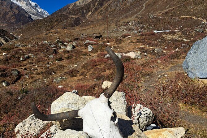 Manaslu Circuit Trek Untouched Beauty of Nepal - The Sum Up