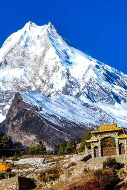 Manaslu Trek - 14 Days Larke La Pass : From Kathmandu - Inclusions and Services