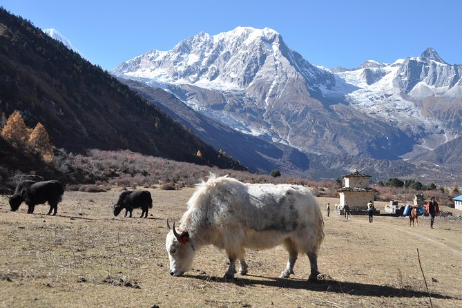 Manaslu Tsum Valley Trekking - Trekking Permits and Special Permits