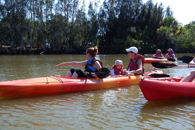 Manatee and Dolphin Kayaking Encounter - Additional Information