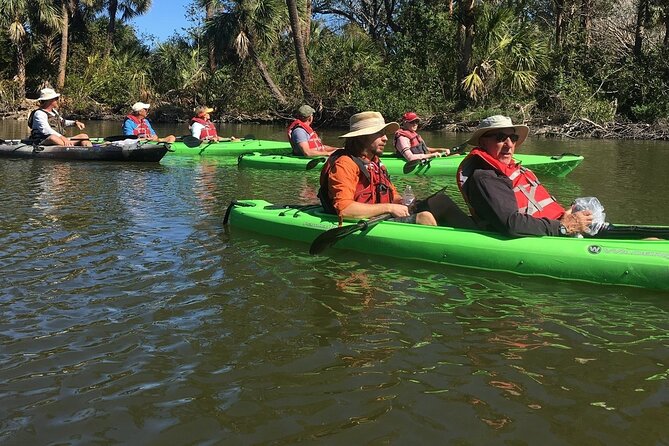 Manatee and Dolphin Kayaking Encounter - Viator and Traveler Reviews
