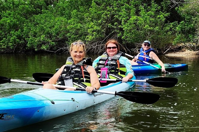 Manatee and Dolphin Kayaking Encounter - Common Questions