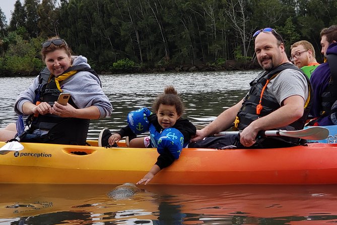 Manatee and Dolphin Kayaking Haulover Canal (Titusville) - What to Expect and Additional Information