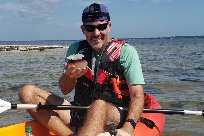 Manatee and Dolphin Kayaking Haulover Canal (Titusville) - The Sum Up