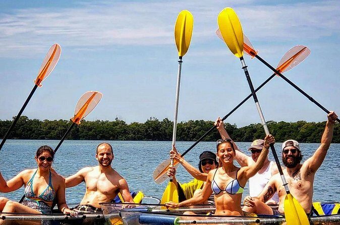 Manatee And Dolphin Tour - FAQ