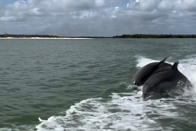 Manatee, Dolphin, and 10,000 Islands Eco Beach Tour by Boat - Tour Overview