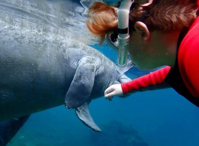 Manatee Snorkel Tour From American Pro Diving Center - Excursion Logistics