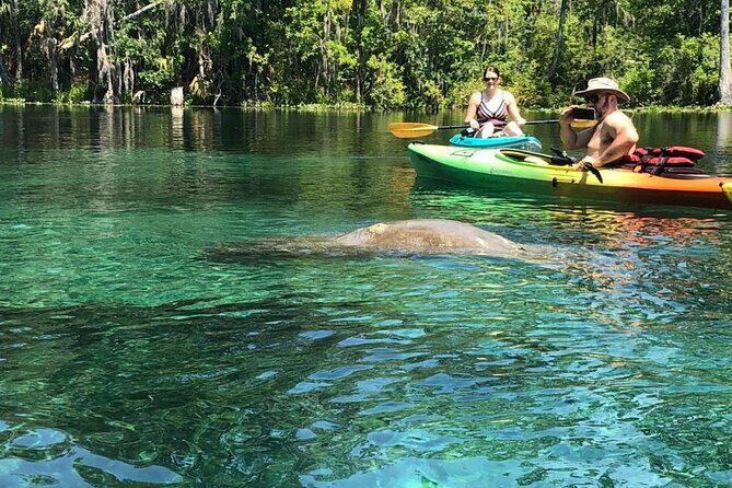 Manatee Springs Adventure Tour - An Honest Look at the Manatee Springs Adventure Tour