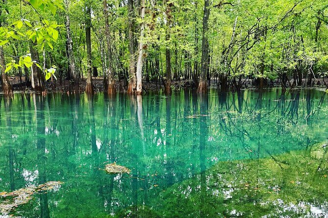 Manatee Springs Adventure Tour - What Reviewers Say
