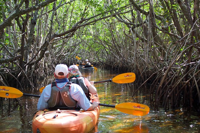 Manatees and Mangrove Tunnels Small Group Kayak Tour - Inclusions and Meeting Details