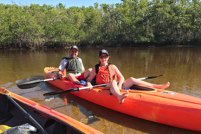 Manatees and Mangrove Tunnels Small Group Kayak Tour - Viator Help Center