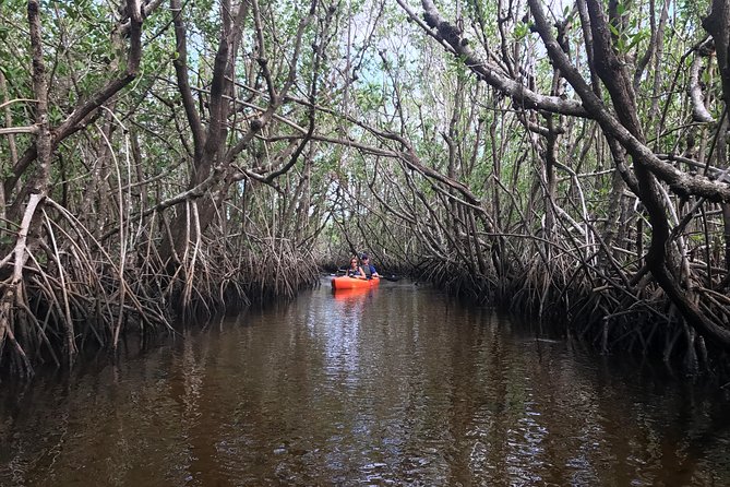 Manatees and Mangrove Tunnels Small Group Kayak Tour - Additional Information