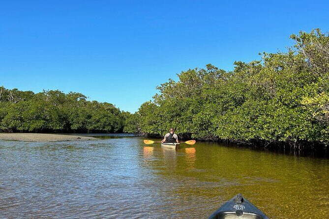 Manatees, Grasslands and Mangroves kayak Tour (Small Group Tour) - Good To Know