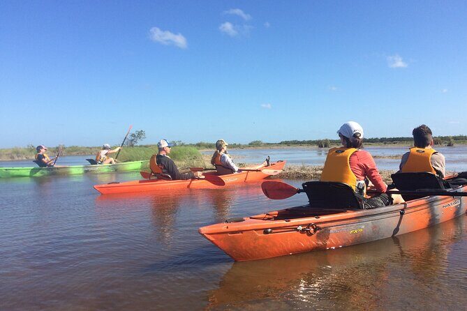 Manatees, Grasslands and Mangroves kayak Tour (Small Group Tour) - Why This Tour Offers Great Value