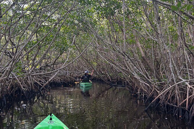 Manatees, Grasslands and Mangroves kayak Tour (Small Group Tour) - Who Should Book This Tour?