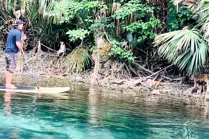Manatees, Monkeys and Florida Natural Spring Adventure Tour - Final Thoughts: Is This Tour for You?