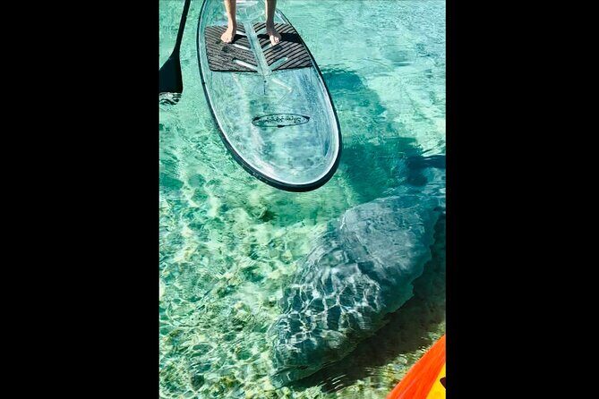 Manatees, Monkeys and Florida Natural Spring Adventure Tour - Final Words