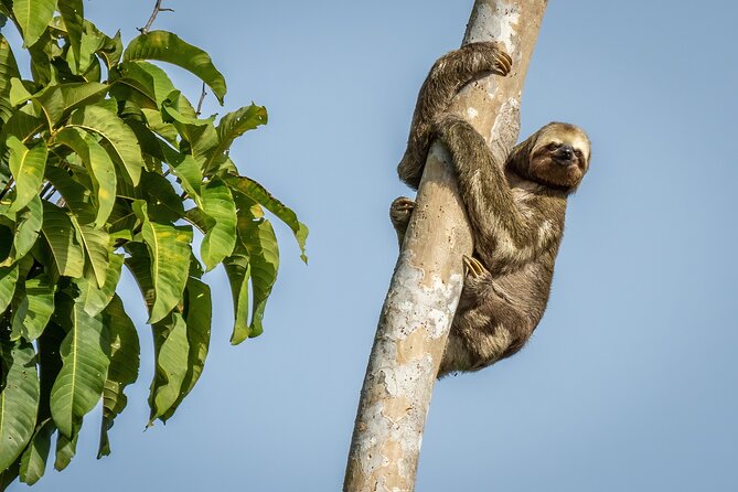 Manaus Small-Group 3-Day Amazon Jungle Tour (Feb ) - Tour Duration and Group Size