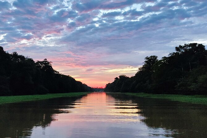 Manaus to Meeting of the Waters and Janauari Lake Cruise Tour (Feb ) - Tour Highlights