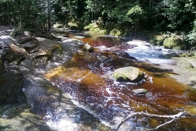 Manaus to Presidente Figueiredo Cave Exploration Full-Day Trip - Trip Highlights