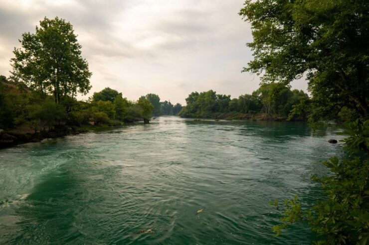 Manavgat River Cruise and Bazaar Tour W/ Lunch - Experience Highlights