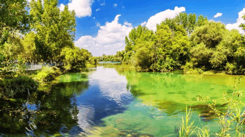 Manavgat River Cruise With Waterfall & Bazaar Tour - FAQ