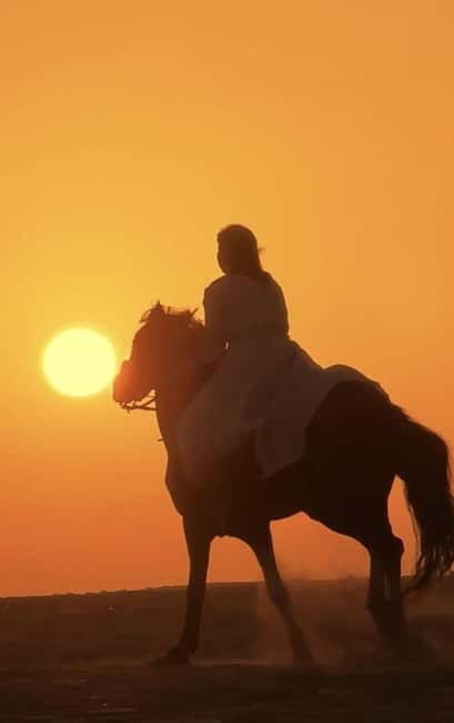 Manavgat Side: Horse Riding on the Beach and in the Forest - Considerations and Tips