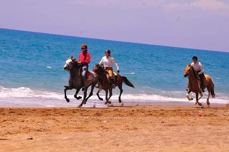 Manavgat Side: Horse Riding on the Beach and in the Forest - Good To Know