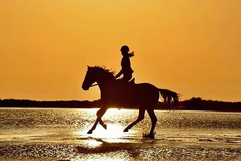 Manavgat Side: Horse Riding on the Beach and in the Forest - The Experience in Detail