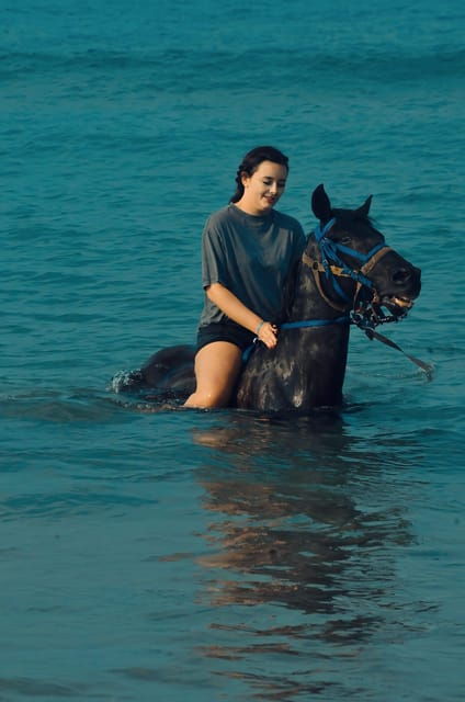 Manavgat Side: Horse Riding on the Beach and in the Forest - Pricing and Discounts