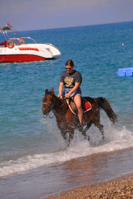 Manavgat Side: Horse Riding on the Beach and in the Forest - Guided Ride Details