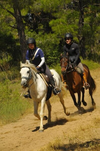 Manavgat Side: Horse Riding on the Beach and in the Forest - Safety and Age Requirements