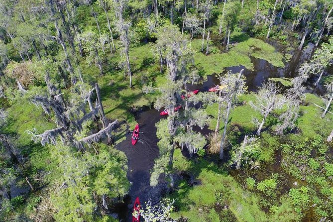 Manchac Swamp Kayak Small-Group Tour - Pricing and Booking