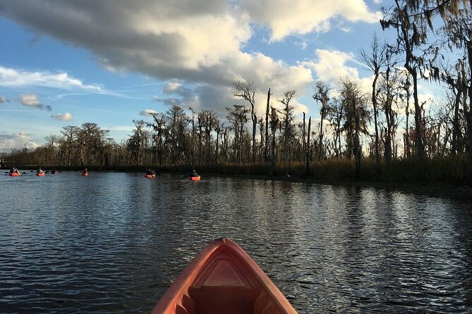 Manchac Swamp Kayak Small-Group Tour - Tour Overview