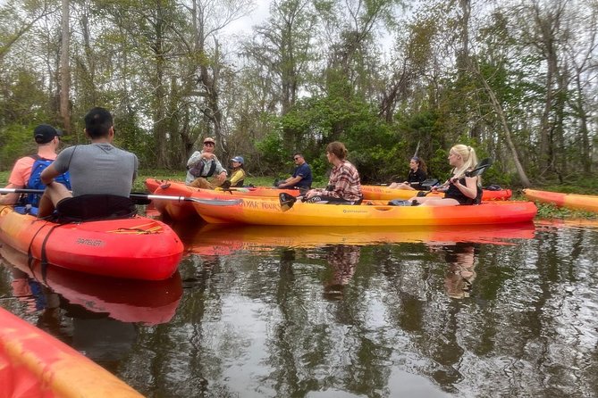 Manchac Swamp Kayak Small-Group Tour - What to Expect