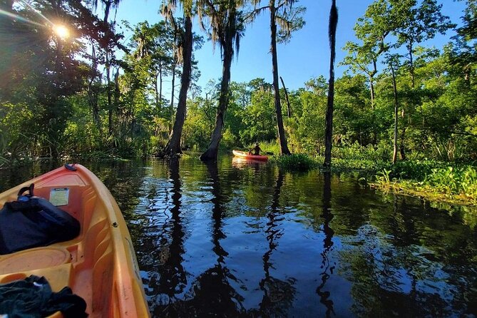 Manchac Swamp Kayak Small-Group Tour - Cancellation Policy