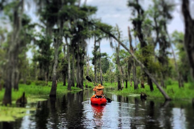 Manchac Swamp Kayak Small-Group Tour - Common Questions