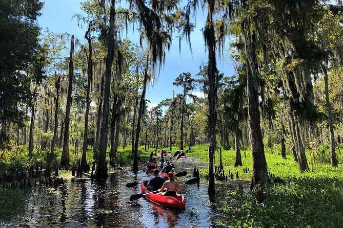 Manchac Swamp Kayak Tour - Extended - Tour Details