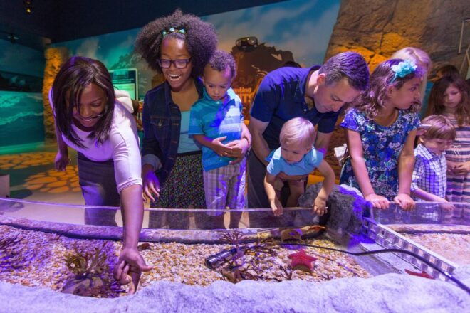 Manchester: SEA LIFE Entrance Ticket - Customer Reviews