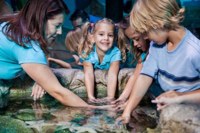 Manchester: SEA LIFE Entrance Ticket - Location and Directions
