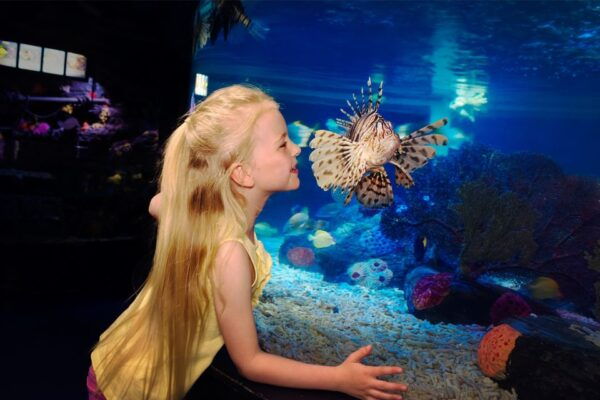 Manchester: SEA LIFE Entrance Ticket - Common Questions