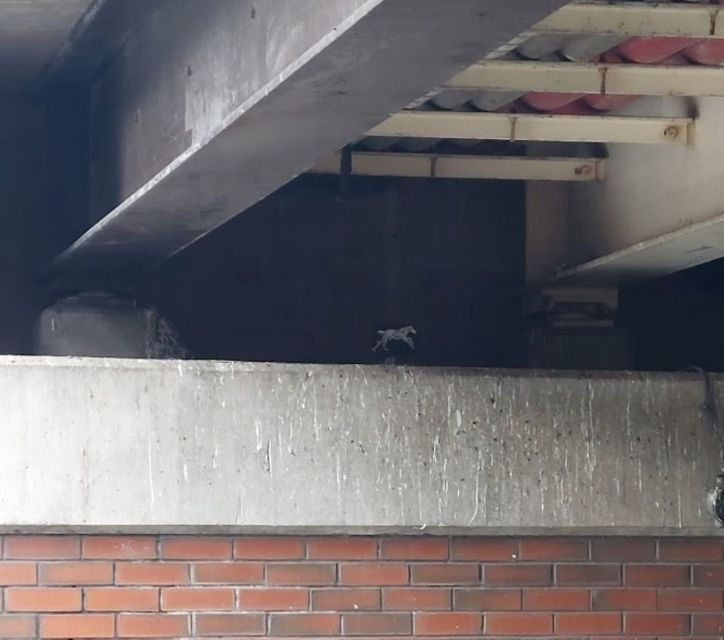 Manchester's Rebirth and Renewal: A Self Guided Audio Tour - Tour Overview