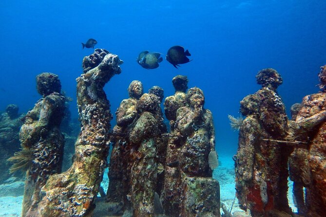 Manchones Reef, MUSA Snorkeling Experience From Isla Mujeres - Cancellation Policy